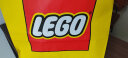 乐高（LEGO）积木11038缤纷创意积木盒4岁+男孩女孩儿童玩具生日礼物上新 晒单实拍图