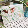 大家小绘系列 精装硬壳绘本：花的话+芦鸡+猫+祖父的园子（5册）赠5节名师写作音频,联系客服客服获取 3-6岁 绿色环保印刷 实拍图