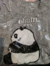 Olrain欧芮儿浅灰色针织衫女2024年夏季新款趣味熊猫短袖套头衫 浅灰色 M 晒单实拍图