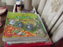神奇校车·桥梁书版（全套20册）4-8岁儿童绘本科普百科全书漫画故事书小学生课外阅读书籍 实拍图