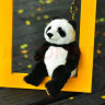 National Geographic 毕业礼物国家地理大熊猫抱枕动物玩偶亲子互动毛绒玩具 晒单实拍图
