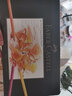 辉柏嘉（Faber-castell）绿盒油性彩铅36色专业手绘艺术家大师级绘画绿铁盒套装110036美术节日开学礼物【梵高认证】 实拍图