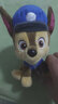 汪汪队立大功（PAW PATROL）狗狗巡逻队毛绒玩具男女孩可爱小狗玩偶公仔儿童节礼品生日礼物 汪汪队毛绒-15-18cm小号阿奇 cm 实拍图