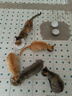 奥丁（ODIN）猫粮 成猫幼猫布偶英短蓝猫加菲猫通用 天然粮 【全价猫粮】牛肉味10kg20斤 实拍图