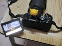 【二手99新】 尼康（Nikon） D5200D5300/D5600单反数码照相机 入门级 D5500+腾龙18-200防抖 99新 实拍图