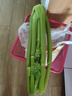 绿食者 新鲜西芹1000g 大芹菜 洋芹菜 健康轻食蔬菜 实拍图