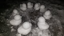 助城雪球夹雪铲雪桶冬季儿童玩沙球雪夹子玩具打雪仗堆雪人神器套装 大号三件【恐龙+爱心+鸭子】 实拍图