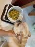 日式宠物狗狗猫斜口防滑陶瓷食盆架法斗碗狗碗食盆大号大型犬用品 L-白色碗黑垫餐桌套装 实拍图