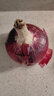 中鲜生 云南紫皮洋葱现挖红皮洋葱新鲜蔬菜生鲜当季新鲜洋葱 3斤装【普通装】 实拍图
