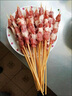羊食光羊肉串新鲜羊肉户外烤肉空气炸锅半成品烧烤食材烤肉净重1300g 户外烧烤羊肉串100串【长签】 实拍图