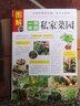 图解一平米的私家菜园 蔬菜种植技术室内室外西红柿黄瓜茄子青菜辣椒草莓阳台露台阳台庭院顶楼 实拍图