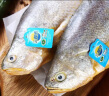 三都港 三去深海宁德大黄花鱼1kg/2条装 生鲜 鱼类 国产海鲜水产 健康轻食 实拍图