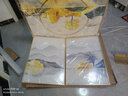 瑞尚（RUISHANG） 北欧客厅装饰画轻奢沙发背景墙挂画简约墙上壁画餐厅玄关墙画 家和富贵B 左右50*70+中间100*70晶瓷面金框 实拍图