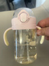 膳魔师（THERMOS）儿童水杯巧虎PPSU婴儿手柄吸管杯耐高温幼儿园学饮卡扣学生杯FCPB 实拍图