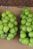 果益寿金手指葡萄新鲜水果蓝宝石无籽黑提脆甜美人指孕妇提子水果礼盒 精品果3斤【分享装】 实拍图