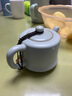 汝道  汝窑茶壶陶瓷功夫茶具普洱观音泡茶器 天青汝瓷可养蝉翼开片个性把玩单壶 汝窑傲然壶170ml 实拍图
