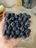 怡颗莓【果肉细腻】当季云南蓝莓 国产蓝莓 新鲜水果 云南当季125g*6盒 实拍图