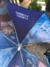 迪士尼（Disney）儿童雨伞男孩创意卡通伞小学生直杆伞女孩幼儿园可爱雨伞环保童伞 小恐龙8k直骨伞 实拍图