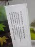 时间的珍藏 自然科普摄影艺术儿童认知书7-10岁  后浪 实拍图