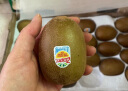 佳沛（zespri）新西兰阳光金奇异果22粒原箱 单果重约146-175g 水果 猕猴桃 实拍图