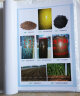 正版 新型肥料及其应用技术 肥料应用手册科研教材 新型肥料的概念特点 分类科学施用技术书籍 肥料生产 晒单实拍图
