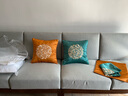 米乐 轻奢刺绣抱枕靠垫布艺沙发靠枕床头办公室护腰靠背汽车腰枕 橘黄(圆圈花刺绣) 45cm*45cm 含枕芯 实拍图