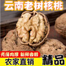 2024年新货老树纸皮薄皮核桃原味无漂白年货坚果孕妇小孩高山野生 云南老品种薄皮核桃1.01斤-大果 实拍图