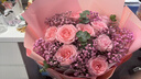 艾斯维娜鲜花速递11朵玫瑰花束送女友生日礼物全国同城配送 11朵粉玫瑰花束 实拍图