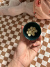 英氏（Engnice）小小馒头 婴儿米饼宝宝磨牙棒零食 儿童零食入口易化饼干细腻松软 小小馒头*2瓶（蛋黄味+牛奶味） 晒单实拍图