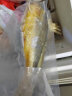 翔泰冷冻海南金鲳鱼700g 2条 生鲜鱼类 深海鱼  烧烤食材 海鲜水产 实拍图