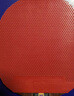 大维（DAWEI）388C-1生胶皇乒乓球拍胶皮颗粒胶套胶 红色 1.6 单片装 实拍图
