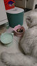 猫橘狗可爱猫咪碗陶瓷猫碗防打翻高脚护颈喝水碗倾斜口猫盆狗碗宠物用品 粉色 可爱高脚陶瓷碗(绅士款) 实拍图