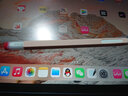 禾木夕 适用苹果apple pencil笔套pencil手写笔硅胶笔套 实拍图