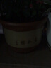 沪颜特大花盆紫砂花盆梅花盆陶瓷盆 盆景花盆 育苗盆 透气陶土盆 口径18厘米 按口径发货 实拍图