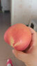 洛川苹果 青怡陕西红富士净重3.75kg 单果220g起 新鲜水果臻品礼盒 实拍图