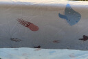 水星儿童（MERCURY Kids）水星家纺 幼儿园全棉抗菌三件套(海蓝色/海洋)0.6-1m床 婴幼A类 晒单实拍图