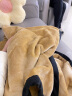 眠度毛毯夏季学生午睡毯子办公室单人小毯子法兰绒空调被午休盖腿沙发 W经典驼 【加厚560g】100cmX150cm 实拍图