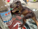 MECHILE恐龙玩具霸王龙恐龙世界模型套装仿真动物暴龙翼龙儿童玩具 霸王龙 实拍图