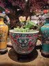 瓷小奴陶瓷养锦鲤金鱼缸别墅庭院特大号水缸室外荷花缸睡莲缸景德镇陶瓷 肚直径73cm狮子镇财缸 实拍图