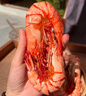 鳌鲜有货烤虾干特大九节虾干开袋即食原味超大号对虾仁干货特产礼盒一斤装 大号九节虾干2斤(约55只/斤)礼袋 实拍图
