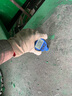 蓝巨人劳保手套双层帆布手套 耐磨加厚工地搬运机械工厂焊工防护 20付装 24线防滑白甲级耐用棉布 男士大号工作施工手套批发 实拍图