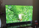 长虹电视55D6 55英寸120Hz高刷杜比视界UMAX影院系统4K超高清智能平板LED液晶电视机以旧换新 55英寸 55英寸智能电视 晒单实拍图