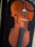 红棉（Kapok）小提琴成人练习考级手工实木初学者专业级儿童入门 V008 4/4 身高155cm以上适用 晒单实拍图