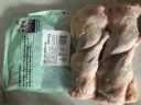 温氏 供港乳鸽520g/2只冷冻散养鸽子肉高品质鸽子汤术后年货礼品 实拍图