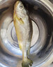 秋诗鲜湘精品钓带鱼特大鲜冻 带鱼 整条刀鱼 海鲜水产 生鲜鱼类 5斤装（半斤一条） 实拍图
