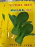 凤鸣雅世 四季蔬菜种子都市菜园速生阳台农家庭院盆栽油菜菠菜芹菜香菜籽 嫩绿小油菜种子 都市菜园10克 实拍图