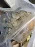 净恩304不锈钢水龙头过滤器净水器家用直饮厨房自来水净化滤水器 陶瓷芯净水器(一机两芯)-共2个芯 实拍图