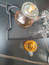 鑫璟仁 茶杯玻璃六只装中式品茗杯带把喝茶杯子加厚耐高温功夫茶杯套装 透明品茗杯-6只装 实拍图