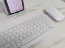 GOMI适用苹果ipad10.2无线蓝牙键盘air2/3鼠标mini5/4便携pro11外接手机 背光10寸白键盘+(带鼠标）+收纳包/支架/充电线 实拍图