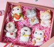 姗珀（SHANPO）六一儿童节礼物女孩子61节送女友女生生日礼物创意实用猫咪摆件 乐队猫咪6只 礼盒装 晒单实拍图